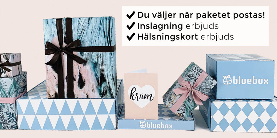 Presenter & Presenttips på nätet - Handla online | Bluebox