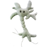 Giant Microbes - Hjärncell mm