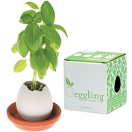 Eggling - Odlingsägg