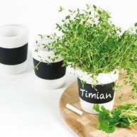 Örtkrukor med griffeltavelfärg (3-pack)