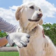 Borsthandske och massagehandske för hund/katt
