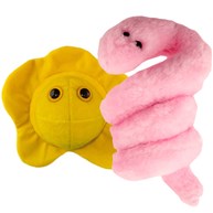 Giant Microbes - Könssjukdomar