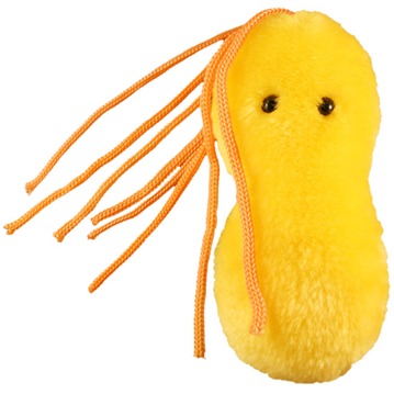 Giant Microbes - Magbesvär