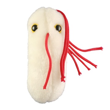 Giant Microbes - Magbesvär