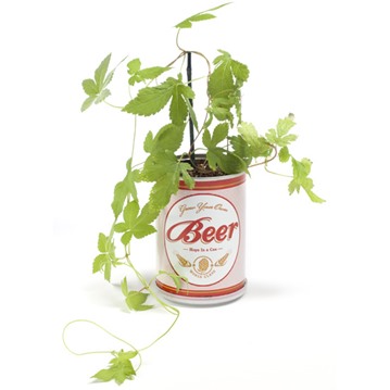 Beer Garden - Odla egen humle