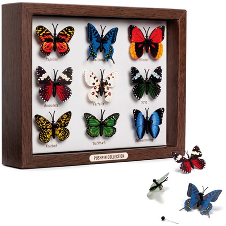 Fjärilar på nål - Pushpin collection, Brun