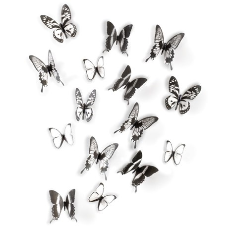 Väggdekor - Chrysalis, Fjärilar (16-pack), Svart