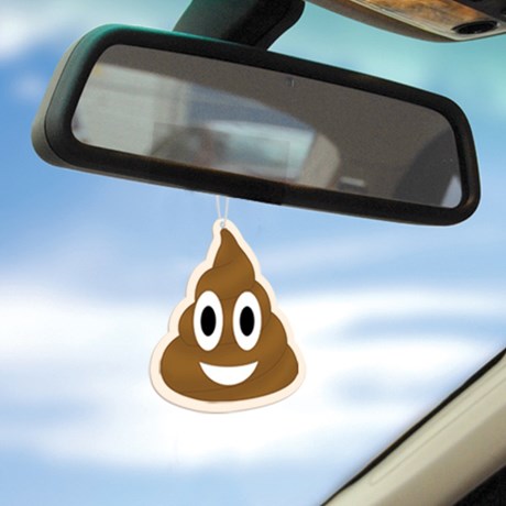 Air freshener - Emoji Poop (3-pack), Brun